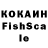 Галлюциногенные грибы Psilocybe kros1887