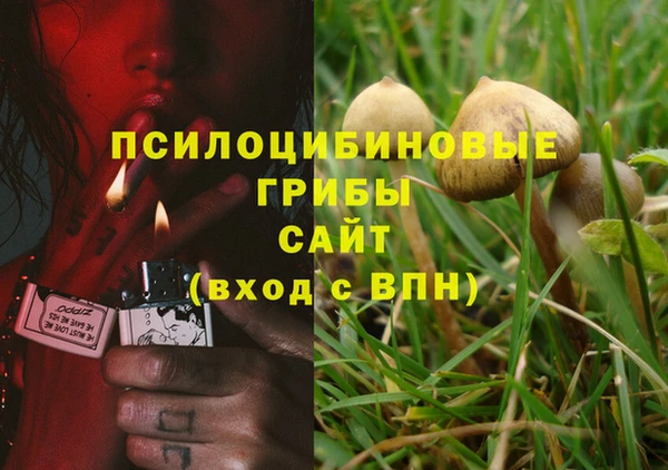 мяу мяу мука Магас