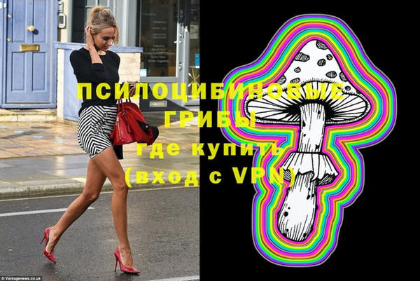 ПСИЛОЦИБИНОВЫЕ ГРИБЫ Ладушкин